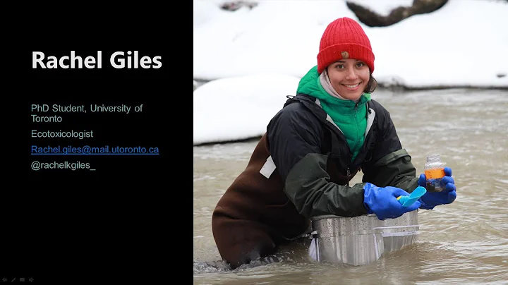 Pollution in the Humber River presented by Rachel ...