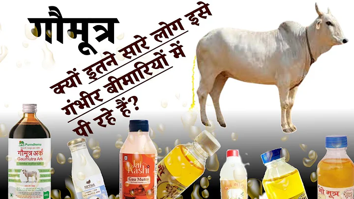 cow urine benefits in hindi | gomutra ke fayde hindi me