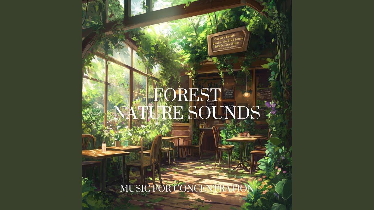 Peaceful Forest Energy