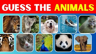 GUESS THE ANIMAL #shorts #guesstheanimals