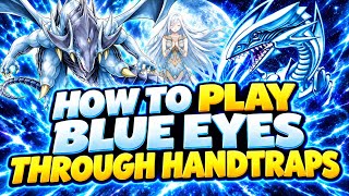 PRIMITE BLUE-EYES COMBOS YOU NEED TO KNOW | YUGIOH!