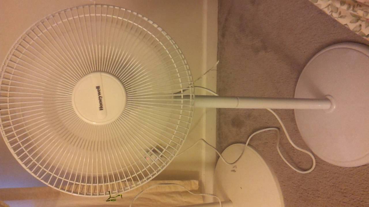 1999 12" Honeywell Oscillating Pedestal Fan DS1510E YouTube