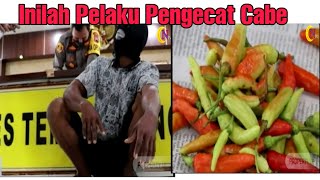 Inilah Pelaku Pembuat Cabe Palsu