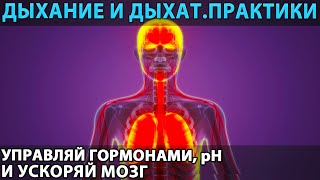 Дыхание и дыхательные практики: эндогенный «ноотроп» и психостимулятор, корректор pH и гормонов