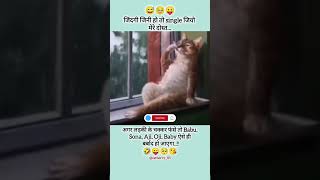 #jindigi #jini ho to #single jio.. #cute #cat #funny #shorts #babu #sona #baby #viral #video #reels