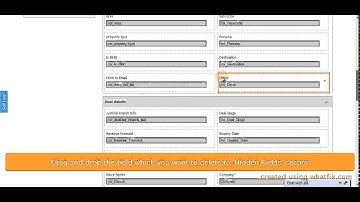 How to delete a Custom Field