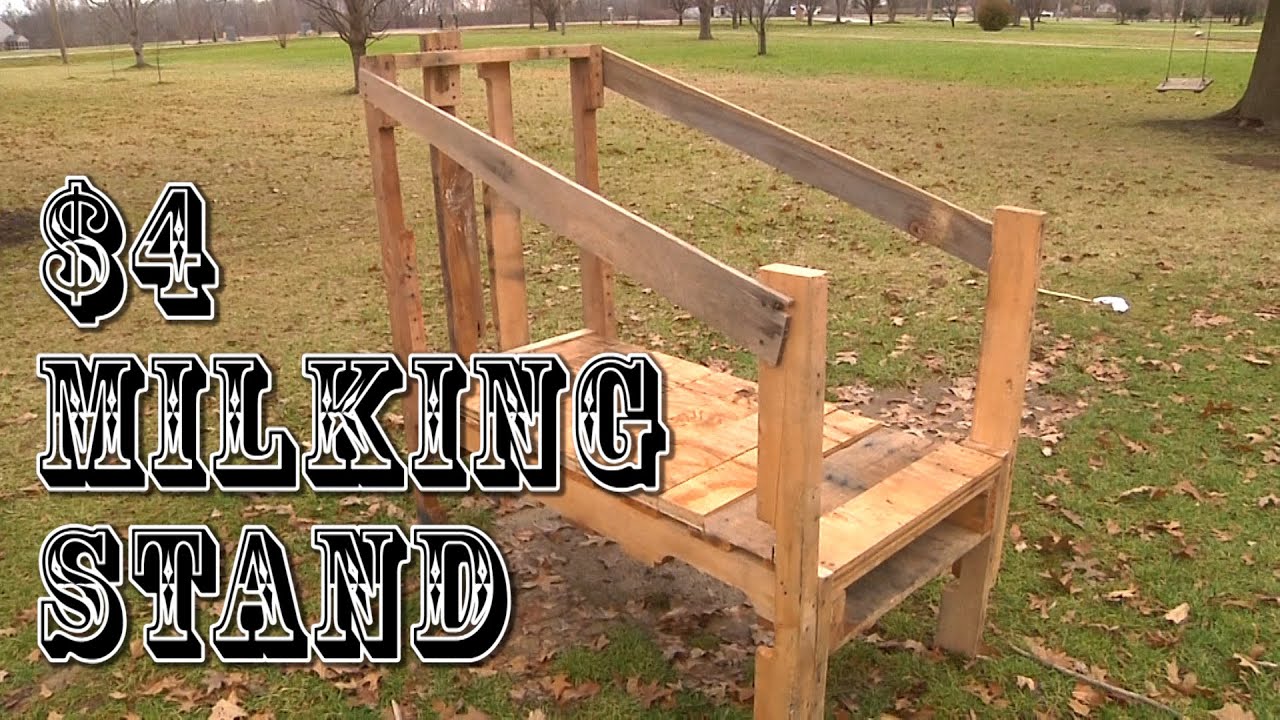 milking stand for goats and other small animals - YouTube