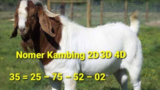 nomer kode alam tafsir mimpi kambing 234d lengkap