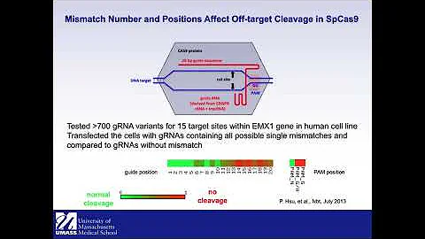 Julie Zhu, Jianhong Ou, Workshop 200: CRISPRseek for design gRNAs for the CRISPR genome edit system