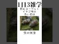 【トリビア】知りたくなかった食べ物の雑学 #shorts #short #shortsvideo