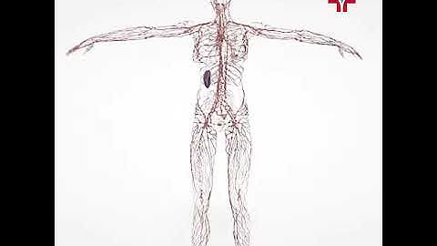 TM Flow Study available at Family Practice Center in McAllen, TX