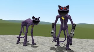 New Upgraded CatNap vs CatNap | Garry's Mod