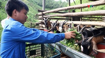 Cầu nối hỗ trợ thanh niên dân tộc thiểu số khởi nghiệp