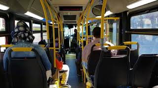 MTA MARYLAND A Ride On The Route 19 To Carney 2017 New Flyer XD40 2017