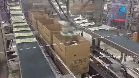 Flexible high speed robot hand sorting carton encasing machine cartoning line