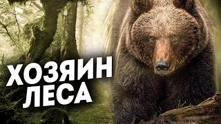 Не дразните русского медведя. Случай в тайге.