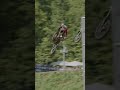 Enzo Temmerman Pass of the Week at Loretta’s