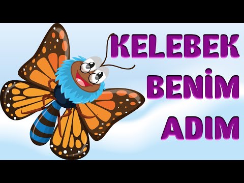 KELEBEK ŞARKISI (Anaokulu Şarkısı) - Yeni Çocuk Bestesi / Yeni Çocuk Şarkısı