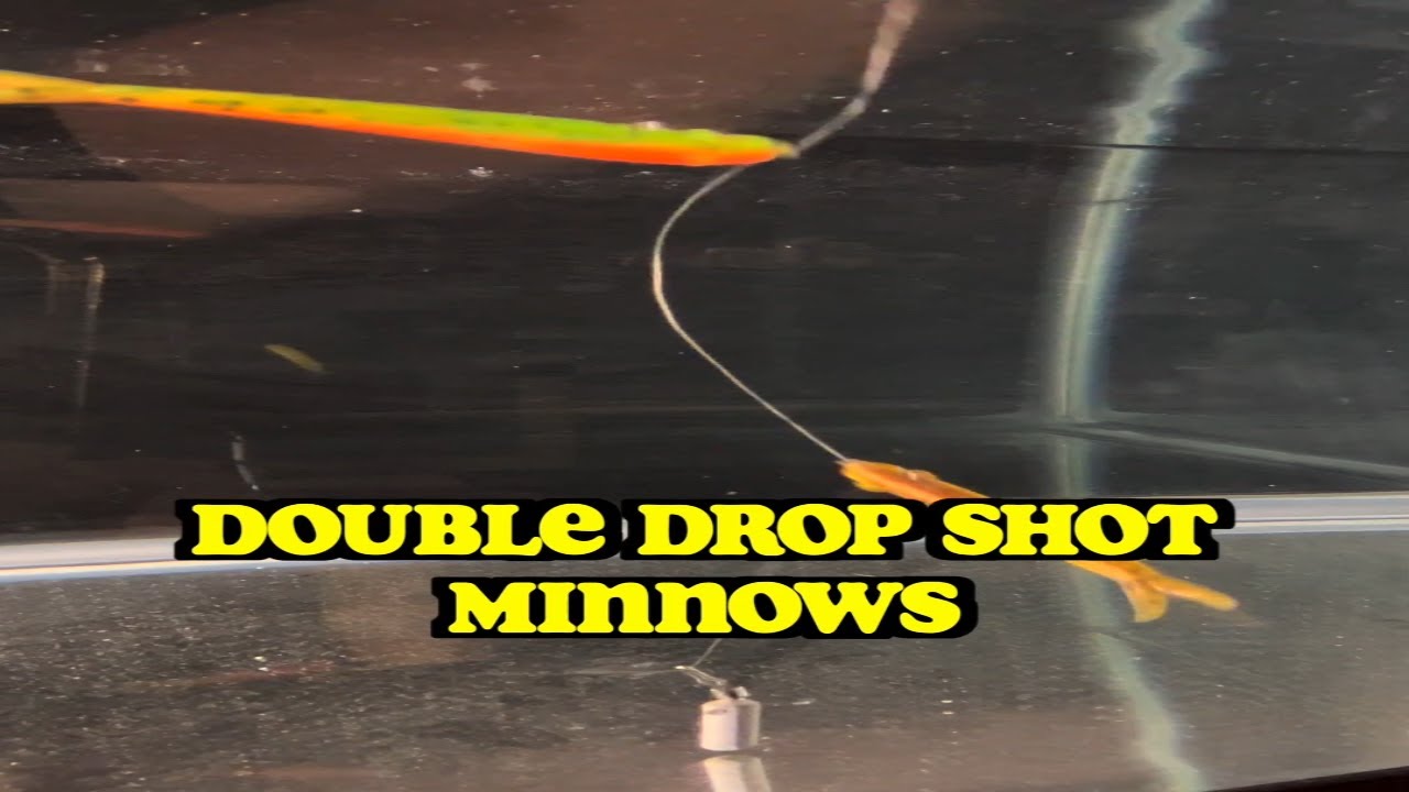 DOUBLE DROPSHOT MINNOWS  FOR BIG TROUT #shorts 