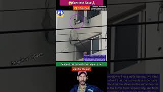 Rescued the cat with the help of a net | o my god | respect #shorts #ytshorts #respect #wgitachi