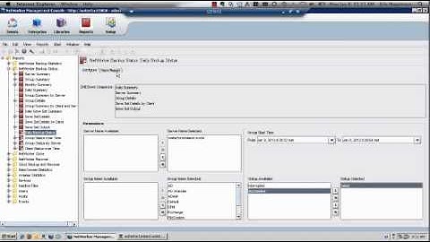 NetWorker Daily Status Report