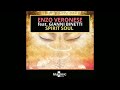 Spirit Soul [Reptile Mix] 📀 Enzo Veronese 🎶 feat. 🎷Gianni Binetti