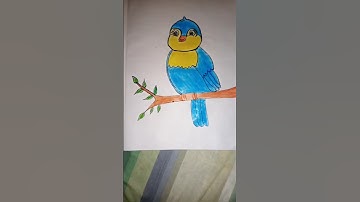 How to draw a little blue bird🐦 #bluebird #shorts#foryou #viralvideos#mithu #ebachaudhary #subscribe