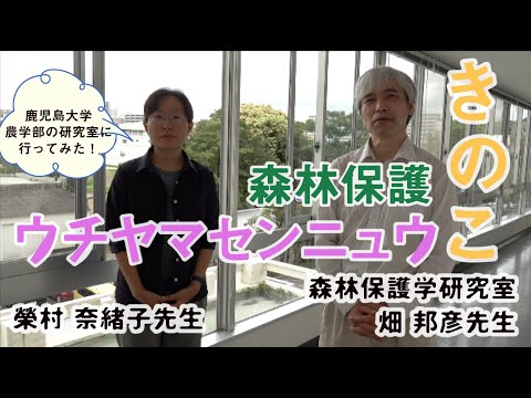 「森林の生態系を守る！」森林保護学研究室　畑邦彦先生　榮村奈緒子先生 #鹿児島大学農学部 ＃森林保護学　#森林生態系