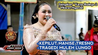 WILIS KRISTINA - KEPILUT MANISE TRESNO || TAYUB GEBYAKAN KARSO BUDOYO 2