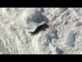 The Cruel Reality of the 2011 Commercial Seal Hunt - Graphic Footage