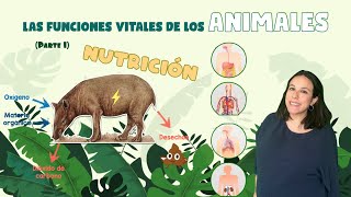 Las funciones vitales de los animales - LA FUNCIÓN DE NUTRICIÓN