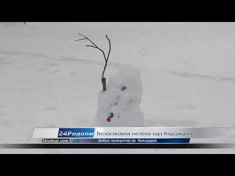 Видео: Снегът чисто бял ли е?