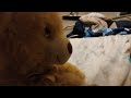First Video First Video