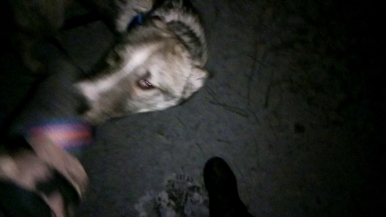 След привидение с мотором