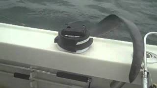 Video 25