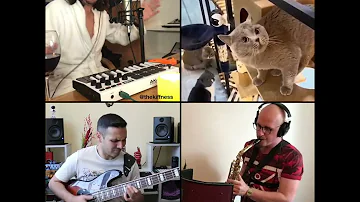 The Kiffness - Alugalug Cat (International Funk Mashup with Slap Bass & Sax)