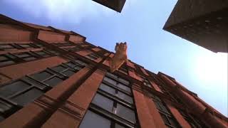 Honey Housebroken Falls Into A Lasagna Trunk