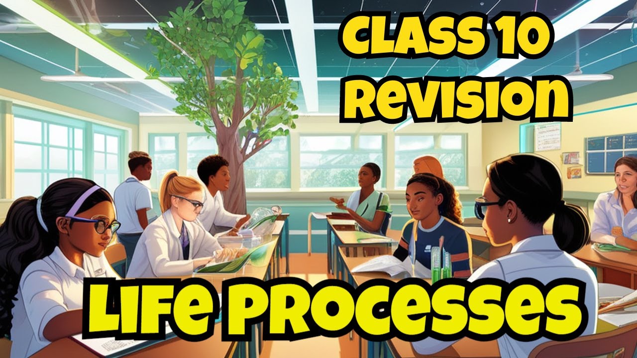 ️ Life Processes Class 10 Science Quiz Chapter 6 Life Processes CBSE