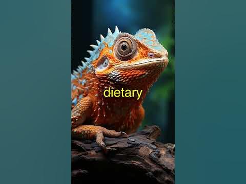 Unveiling the Ultimate Chameleon Diet Guide that Will Change Everything