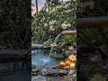 Handpan Music – Quiet Harmony in a Sunset Garden by the Sea with Gentle Water Sounds.#relaxmusic