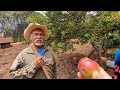 "Si nos ven, no nos dejen de comprar nuestra fruta 🤗🤠"|Tío Antonio y Tía Berna.