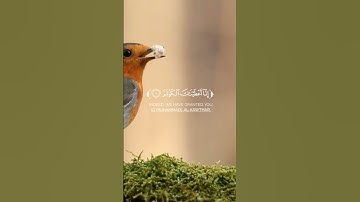 القرآن الكريم ☘️ سورة الكوثر ☘️ بصوت القارئ عبدالرحمن مسعد ☘️♥️.