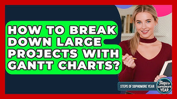 How To Break Down Large Projects With Gantt Charts? - Steps to Sophomore Year