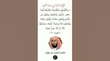 الآية (71)من سورة التوبة // القارئ الشيخ بندر بليلة.