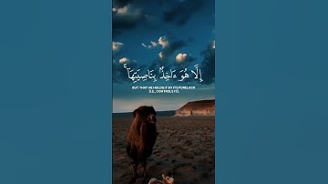 إِنِّي تَوَكَّلْتُ عَلَى اللَّهِ رَبِّي وَرَبِّكُم ..قارئ..محمد هشام..سورة هود