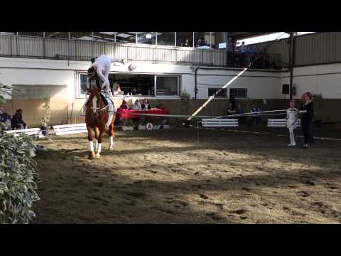 voltige equestre club 2 libre