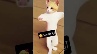 #طلب خاص إسم آية #funny #viral #wow #وناسه_وضحك #shorts