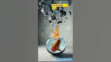 Sự thật thú vị: Não Cá Vàng Chỉ Nhớ Được 3 Giây? Sự Thật Sẽ Khiến Bạn Ngạc Nhiên! #shorts #facts