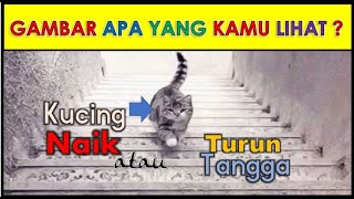 TES PSIKOLOGI GAMBAR | KUCING NAIK ATAUKAH TURUN?