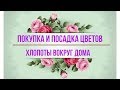 💐ПОКУПКА И ПОСАДКА ЦВЕТОВ💐🏡ХЛОПОТЫ ВОКРУГ ДОМА🏡